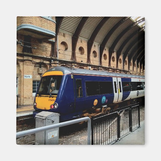 青黄色列車 マグネット (正面)