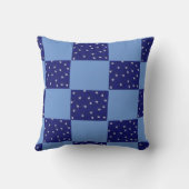 青10代の クッション (裏面)