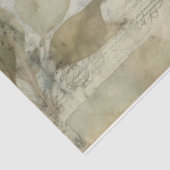 青12 薄葉紙 (詳細)