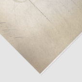 青2 薄葉紙 (詳細)