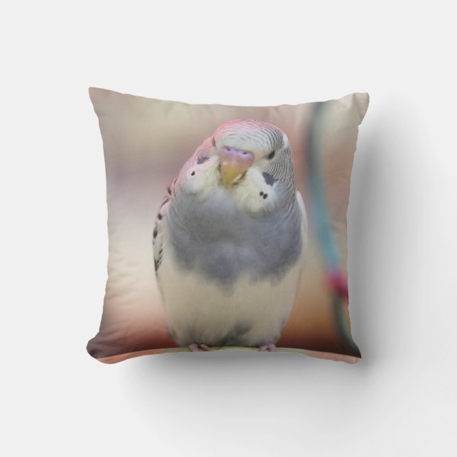 青 アウトドアクッション (正面)