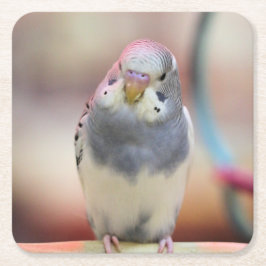 青 スクエアペーパーコースター