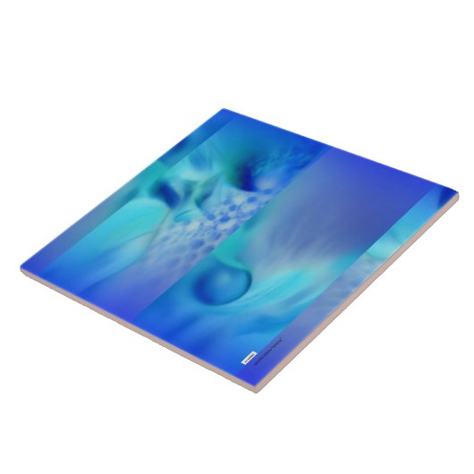 青 タイル (側面)