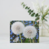 青，バターカップ，植物，タンポポ，草原，白 ポストカード (スタンド正面)