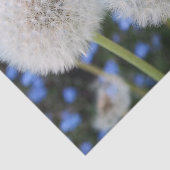 青，バターカップ，植物，タンポポ，草原，白 薄葉紙 (詳細)