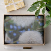 青，バターカップ，植物，タンポポ，草原，白 薄葉紙 (ギフト)