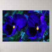 青 ポスター (正面)