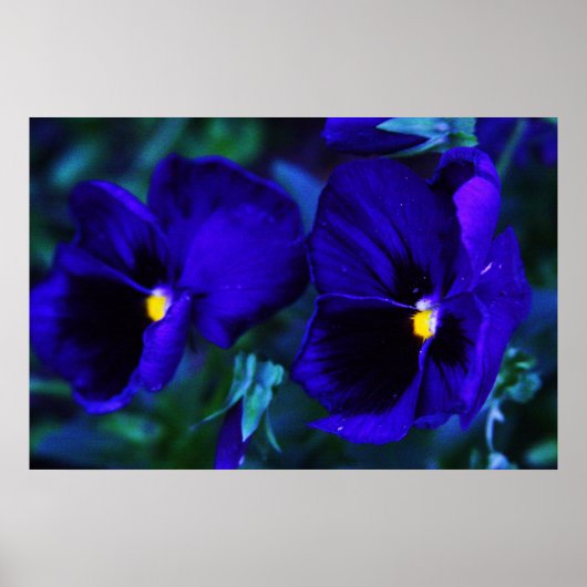 青 ポスター (正面)