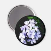 青 マグネット (正面/裏面)