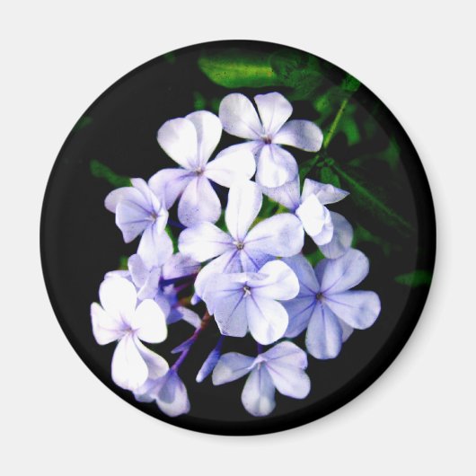 青 マグネット (正面)