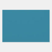 青、暗いティール（緑がかった色）、サーモンとホワイトプレイド ラッピングペーパーシート (正面2)