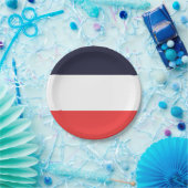 青・白・赤のストライプのストライプパーティー ペーパープレート (パーティー)