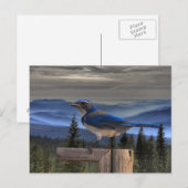 青（青） ポストカード (正面/裏面)