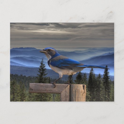 青（青） ポストカード (正面)