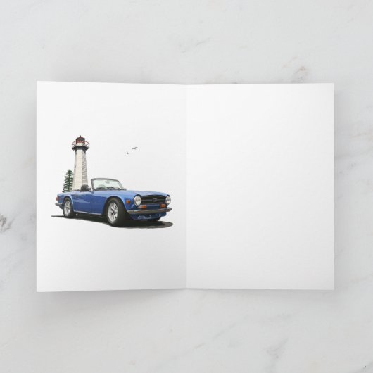 青TR6 カード (内部)