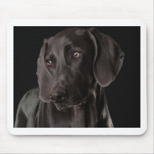 青Weimaraner マウスパッド