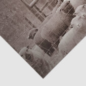 静かで休む羊の群れをティッシュペーパー 薄葉紙 (詳細)