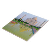 静かで平和な世界で有名なタージマハル タイル (側面)