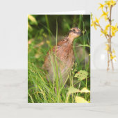 静かなうずらがブラシから飛び出す カード (黄色い花)