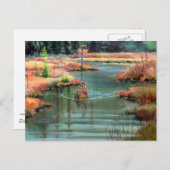 静かなカヌバイシャロンシャーペ ポストカード (正面/裏面)