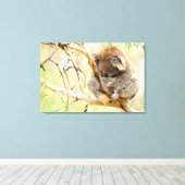 静かなコアラ24x36 キャンバスプリント (インサイチュ (ウッドフロア))