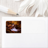 静かなストリーム ラベル (インサイチュ)