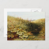 静かなデル ポストカード (正面/裏面)