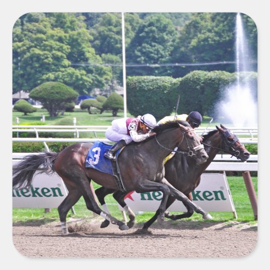 静かなルーラ走ーダウンフラットジャック スクエアシール (正面)