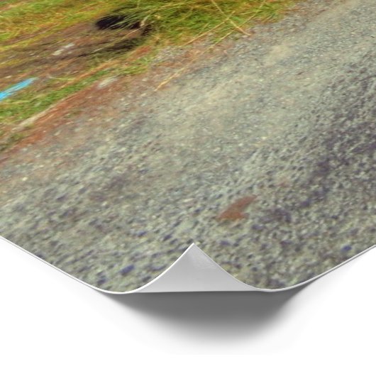 静かな人橋 ポスター (角)