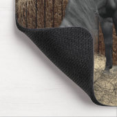 静かな仲間の馬と猫のマウスパッド マウスパッド (コーナー)