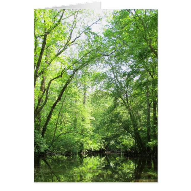 静かな入り江 (正面)