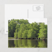 静かな入り江 ポストカード (正面/裏面)