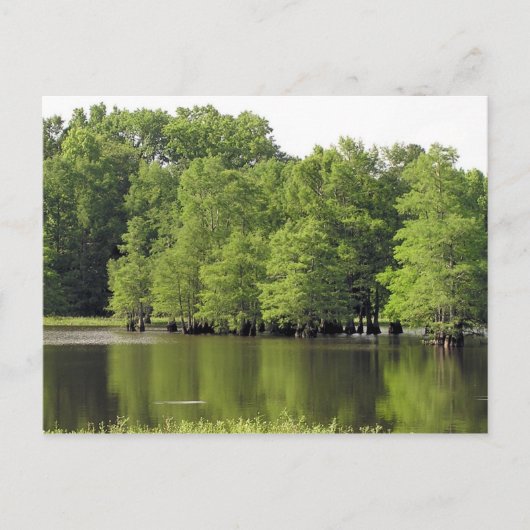 静かな入り江 ポストカード (正面)