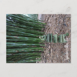 静かな反射 ポストカード