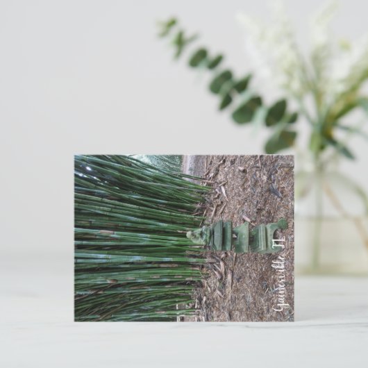 静かな反射 ポストカード (スタンド正面)