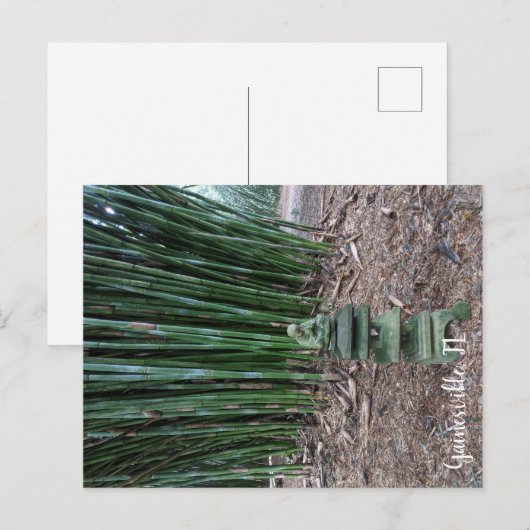 静かな反射 ポストカード (正面/裏面)