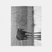 静かな反射～馬毛布 フリースブランケット (正面)