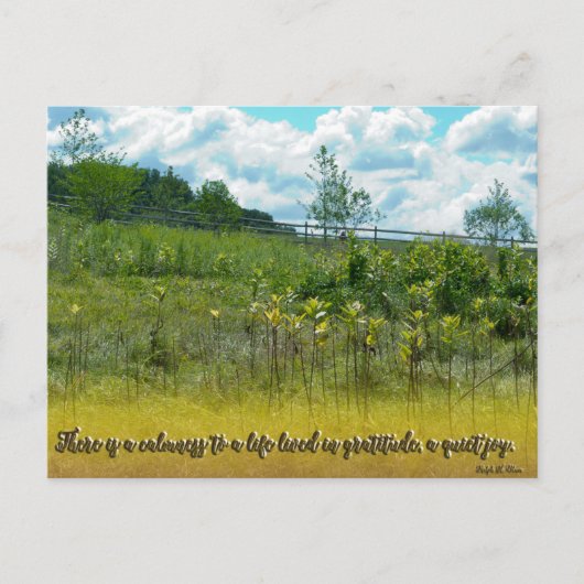 静かな喜び ポストカード (正面)