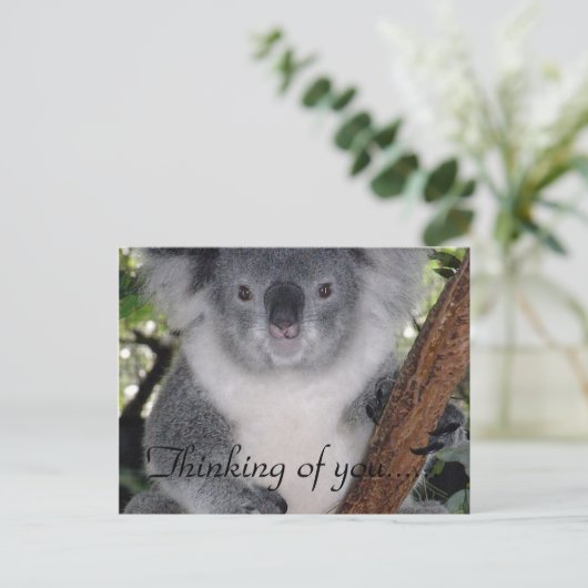 静かな場所 ポストカード (スタンド正面)