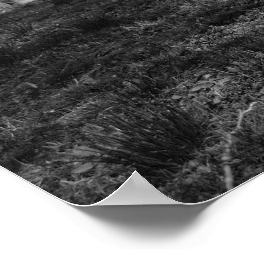 静かな墓地 ポスター (角)