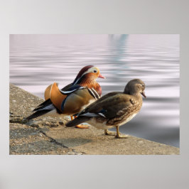 静かな夕べ! ポスター