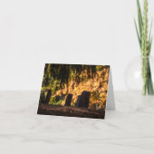 静かな夕日 カード (正面)