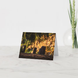 静かな夕日 カード