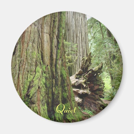 静かな大きなカリフォルニアのセコイアの森のマグネット マグネット (正面)
