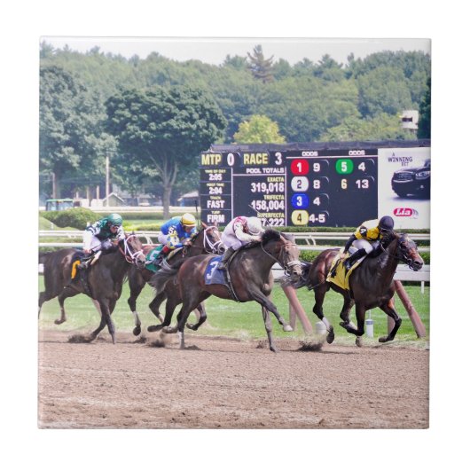 静かな定規は平らなジャックの下で走ります タイル (正面)