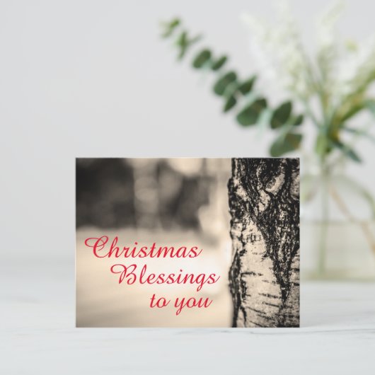 静かな平和素朴な樺の木のクリスマスの恵み シーズンポストカード (スタンド正面)