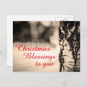 静かな平和素朴な樺の木のクリスマスの恵み シーズンポストカード (正面/裏面)