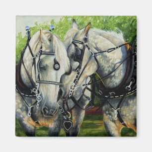 静かな強さ- Percheronの馬のチーム マグネット