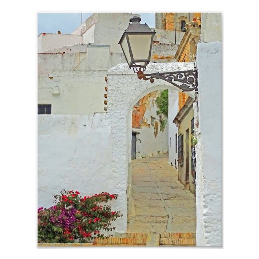 静かな散歩 フォトプリント            (正面)