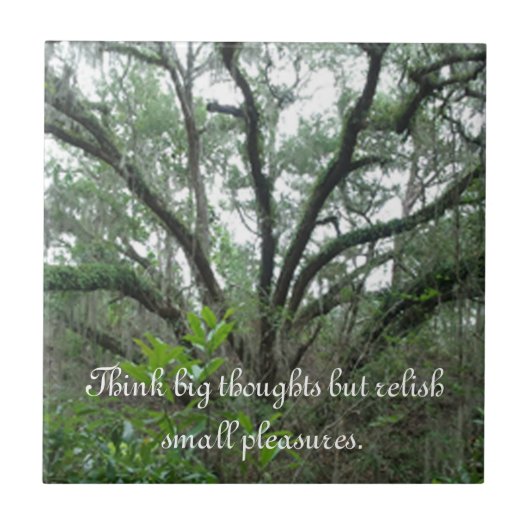 静かな木のタイル タイル (正面)